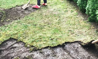 Снятие дерна старого газона в Балашихе – от 527 руб. | ИП Садыков В. Р.